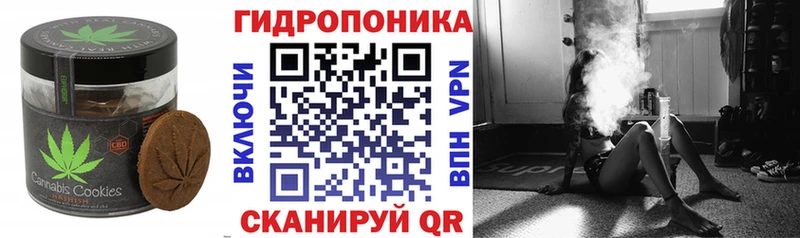 купить  сайты  Гдов  это наркотические препараты  Печенье с ТГК марихуана 