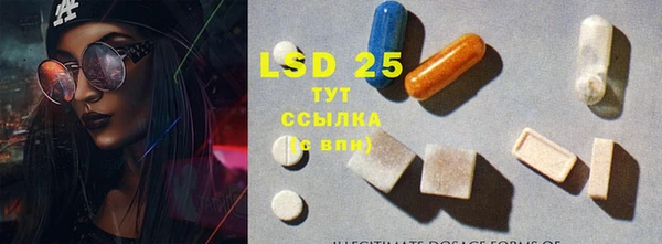 сатива Верея