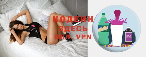 сатива Верея