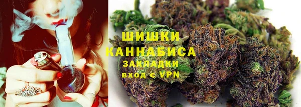 сатива Верея