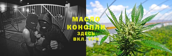 сатива Верея