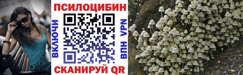 Псилоцибиновые грибы ЛСД  где купить наркоту  Гдов 