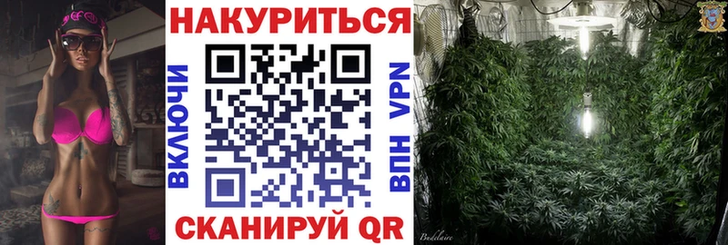 Конопля индика  Гдов 